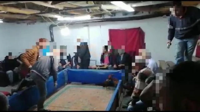 Horoz dövüştüren 31 kişiye toplam 56  bin lira para cezası