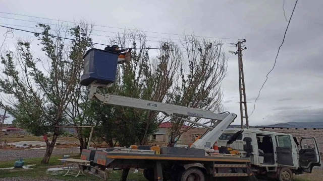 Iğdır’da elektrik tellerine takılan karga kurtarıldı