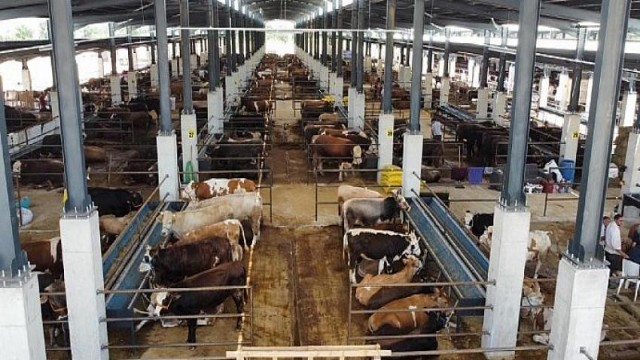 İnegöl hayvan pazarı kotra ihale tarihi belli oldu