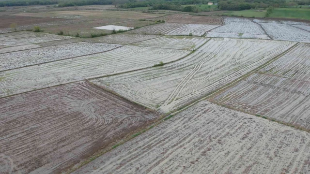 Islah edilmeyen çay taştı, tarım arazileri sular altında kaldı