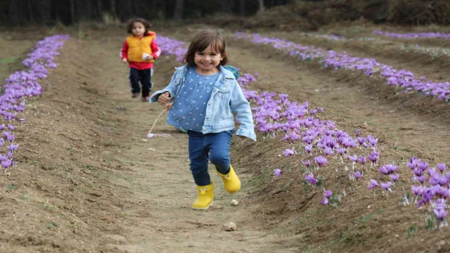 Karabük’te nüfusun 48 bin 34’ü çocuklardan oluşuyor