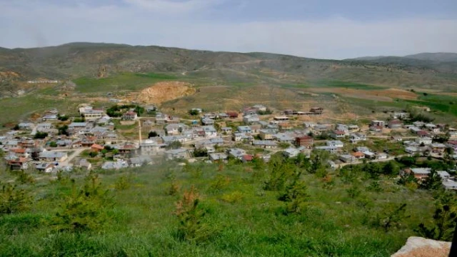 Kardeşler, çocukluk hayalleri orman için 12 bin fidan dikti