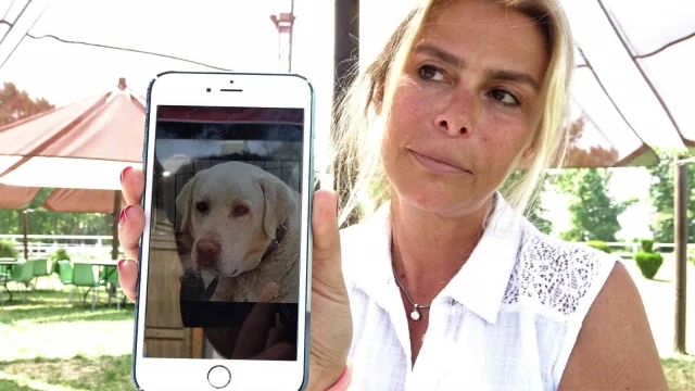 Kaybettiği köpeğini kulübesinin başında bekliyor