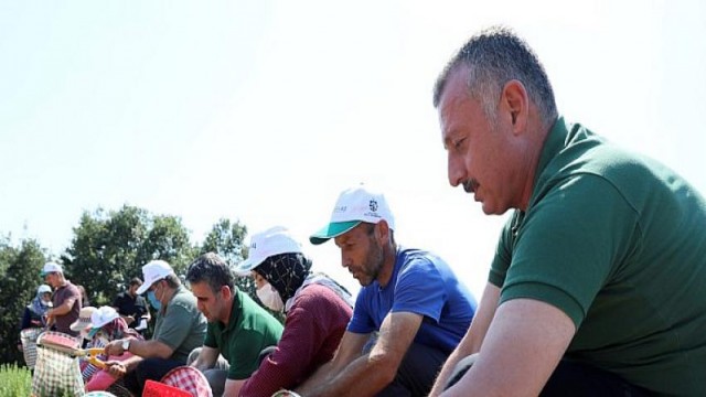 Kooperatif ve birliklere hibe desteği başvuruları 22 Nisan’da sona eriyor