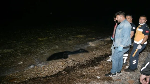 Kuşadası sahilinde erkek cesedi bulundu