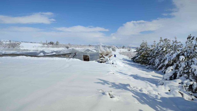 Meteorolojiden zirai don uyarısı