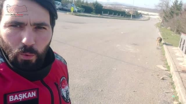 Motokuryelerin sahipsiz köpeklerle "zorlu imtihanı" sürüyor
