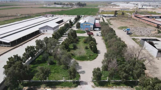 Nazilli’de kurban kesim fiyatları açıklandı
