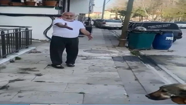 Öldürdüğü köpeğin başına daha önce de çekiçle vurmuş