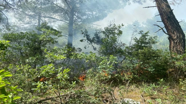 Ormanlık alana düşen yıldırım yangına neden oldu