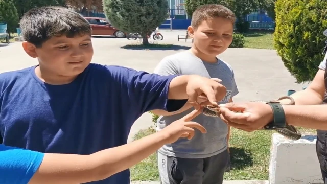 Parktaki yılanı elleriyle yakaladı çocuklara sevdirdi