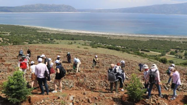 Salda Gölü kenarına 300 fidan dikildi