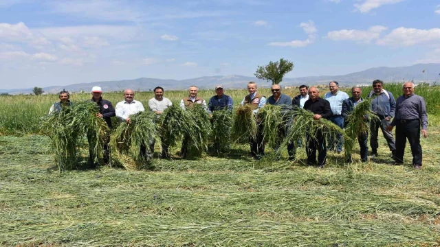 Salihli’de yem bitkisi hasadı gerçekleştirildi