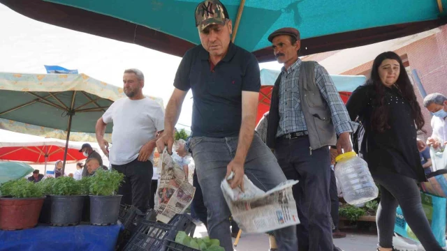 Sarıgöl’de sebze fidan satışlarında önemli artış