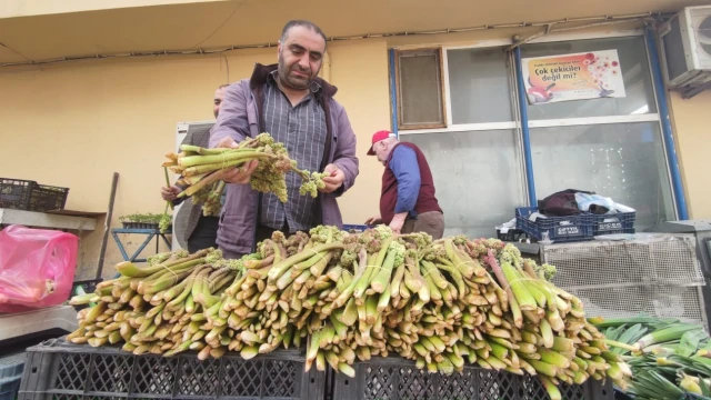 Şifa deposu ‘ışkın’ tezgahlardaki yerini aldı