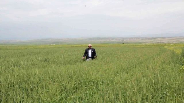 Siirtli çiftçiler rekor düzeyde ürün bekliyor