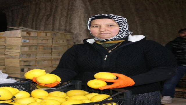 Soğuk hava deposunda ’Anneler Günü’