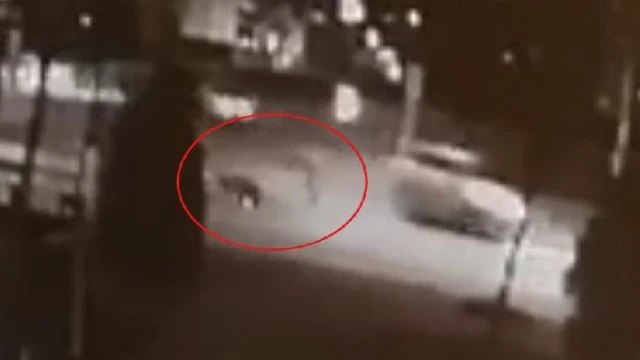 Soner Sevim 'in  ölümüne neden olan sürücü, hız görüntülerini paylaşmış