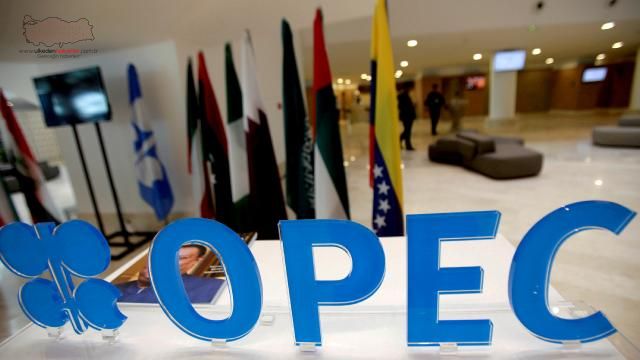 Suudi Arabistan Enerji Bakanı Bin Selman: "OPEC+, siyaseti bir kenara bıraktı"