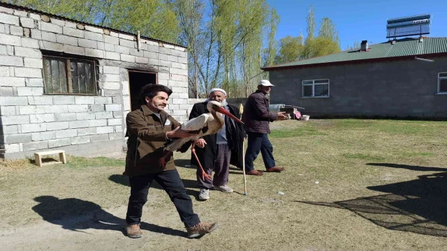 Tedavisi tamamlanan leylek doğaya bırakıldı