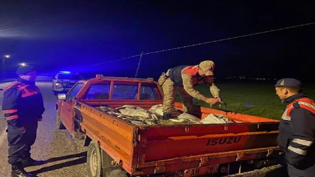 Van’da kaçak avlanan 1 ton inci kefali ele geçirildi