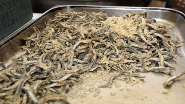 Yenimahalle Belediyesinden hamsi şenliği