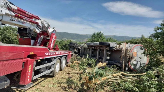 Yoldan çıkan tır meyve bahçesine devrildi, sürücü hayatını kaybetti