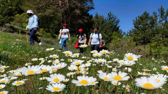 Yüzlerce yıldır kullanılan patikaları canlandırıyorlar