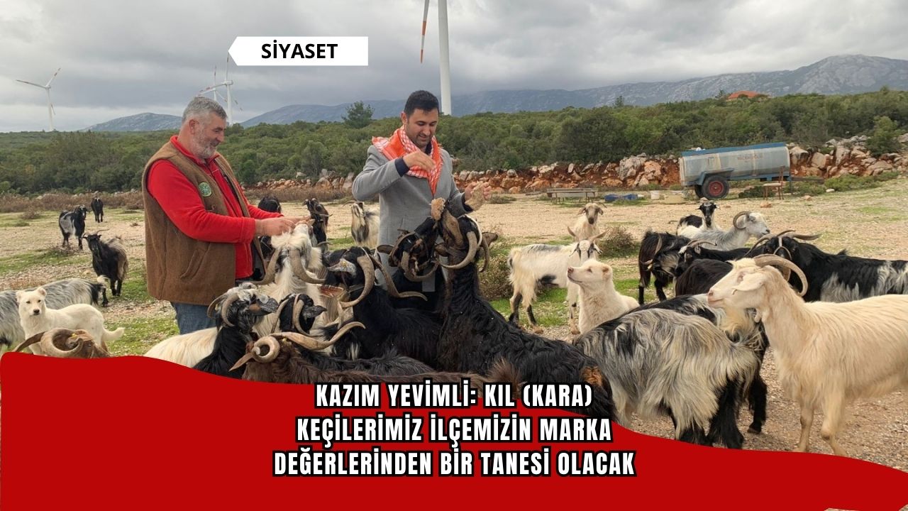 Kazım Yevimli: Kıl (kara) keçilerimiz ilçemizin marka değerlerinden bir tanesi olacak