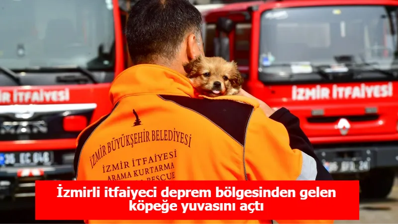 İzmirli itfaiyeci deprem bölgesinden gelen köpeğe yuvasını açtı