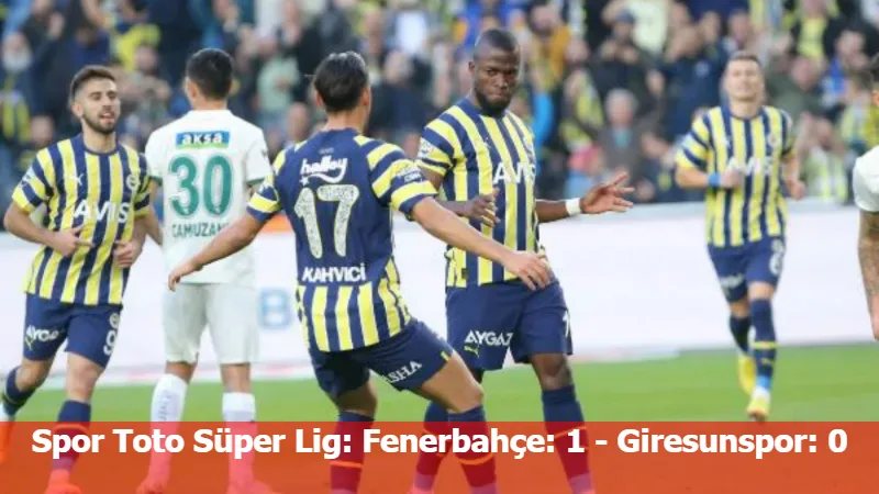 Spor Toto Süper Lig: Fenerbahçe: 1 - Giresunspor: 0