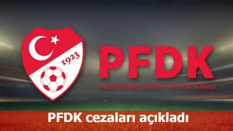 15.11.2022 PFDK Kararları