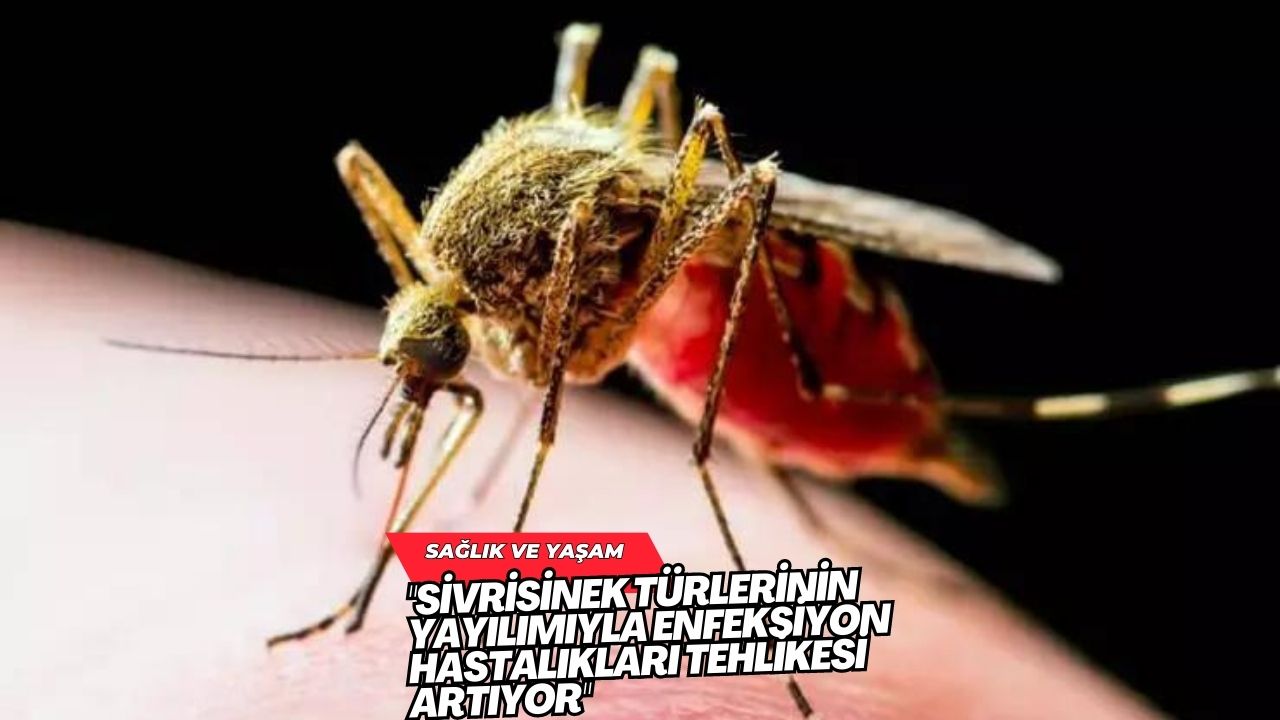 "Sivrisinek Türlerinin Yayılımıyla Enfeksiyon Hastalıkları Tehlikesi Artıyor"