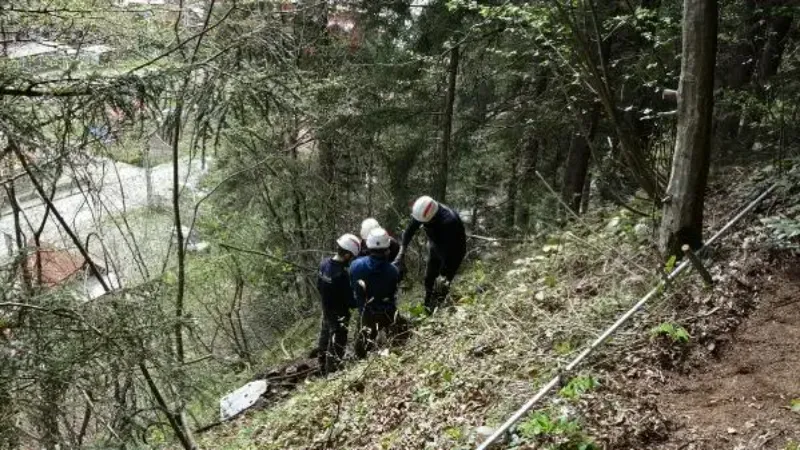 Uzungöl'de yaban hayatı kaynaklı kaya tehdidine çelik bariyerli önlem