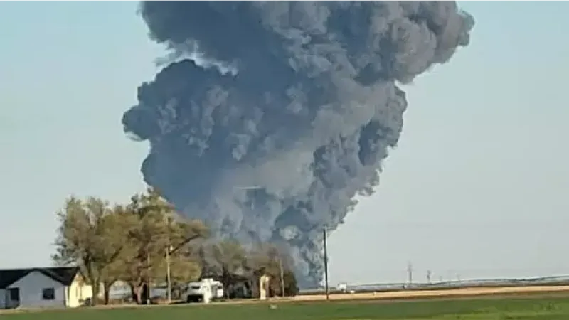 Teksas’ta bir mandırada patlama: 18 bin inek öldü