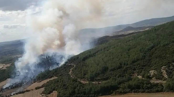 Çanakkale'de orman yangını