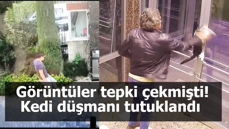 Görüntüler tepki çekmişti! Kedi düşmanı tutuklandı 