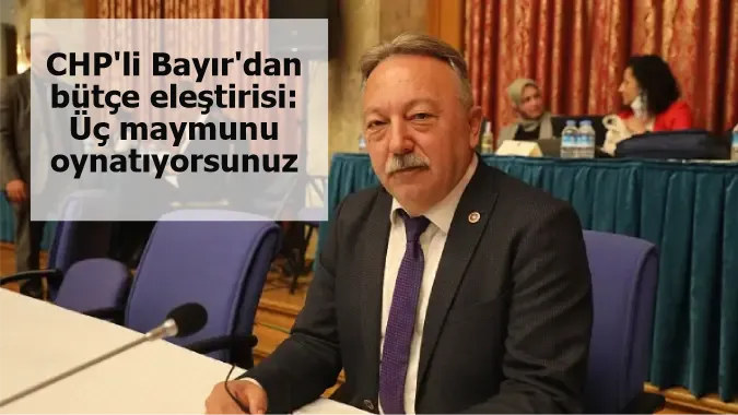 CHP'li Bayır'dan bütçe eleştirisi: Üç maymunu oynatıyorsunuz