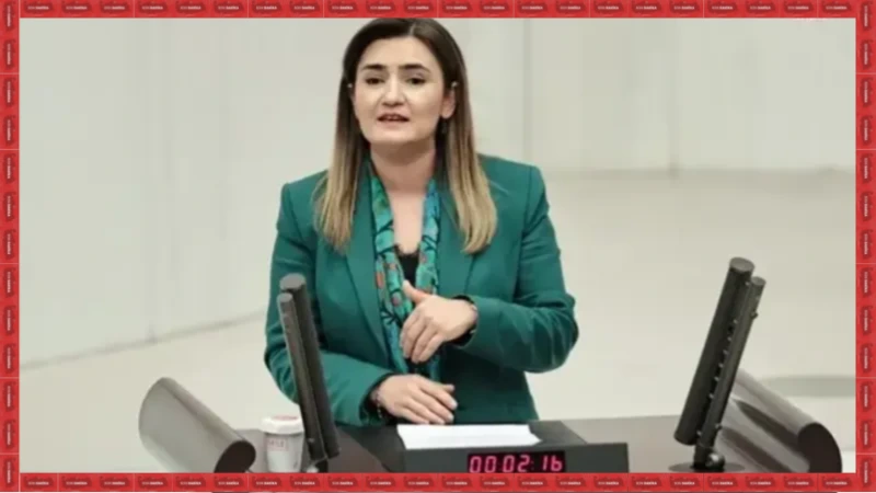 CHP'li Sevda Erdan Kılıç: 'Nebati soru önergelerimize de heterodoks yaklaşıyor!'