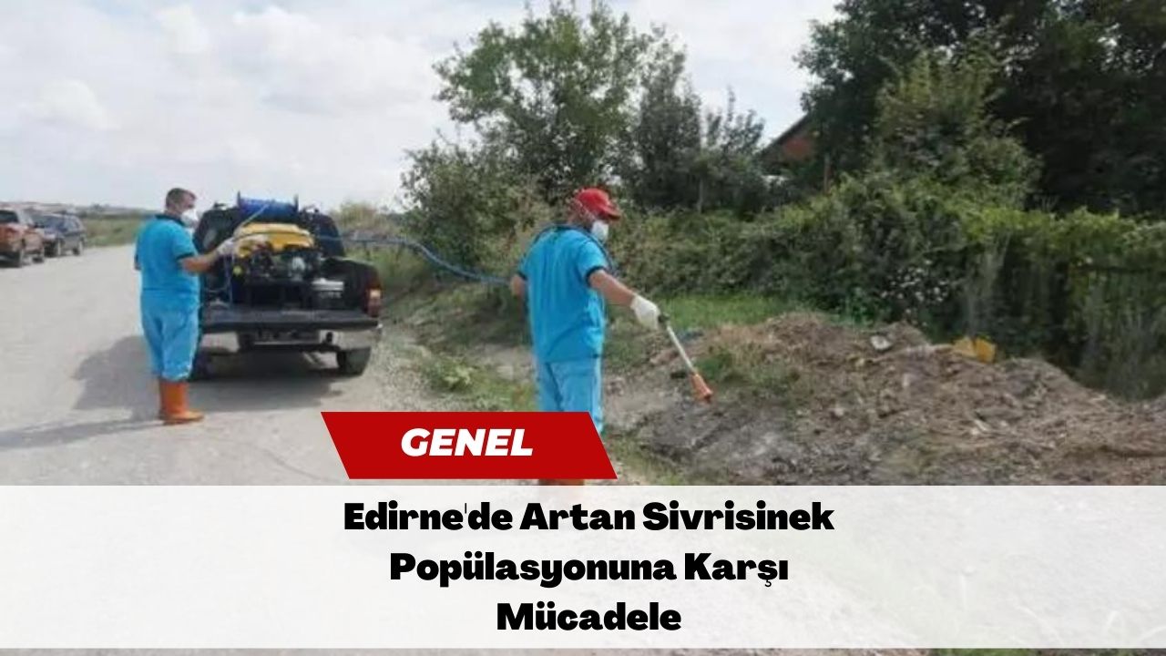 Edirne'de Artan Sivrisinek Popülasyonuna Karşı Mücadele