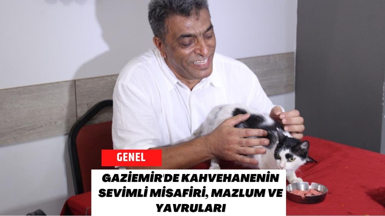 Gaziemir'de Kahvehanenin Sevimli Misafiri, Mazlum ve Yavruları