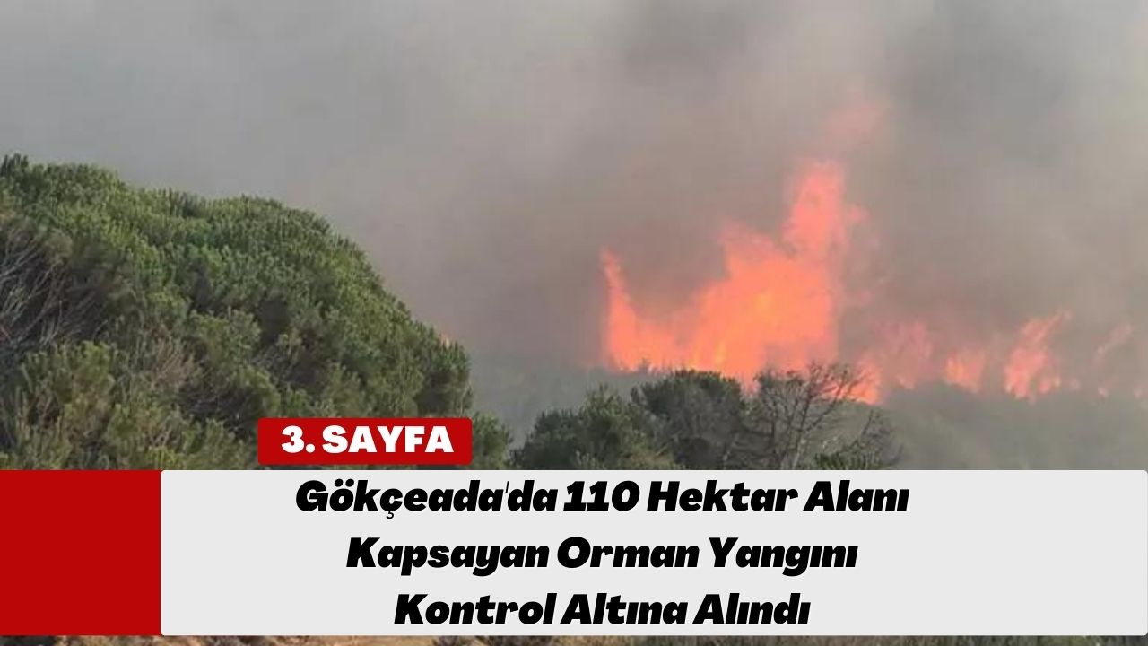 Gökçeada'da 110 Hektar Alanı Kapsayan Orman Yangını Kontrol Altına Alındı