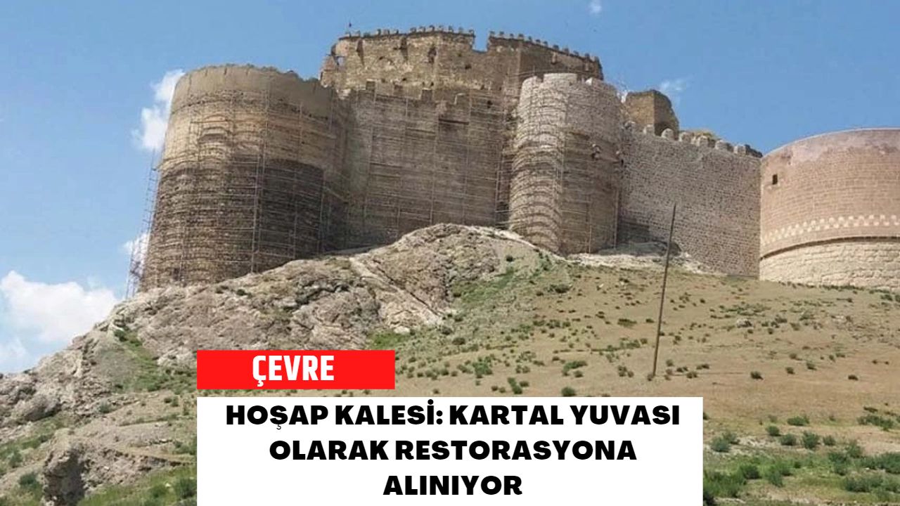 Hoşap Kalesi: Kartal Yuvası Olarak Restorasyona Alınıyor