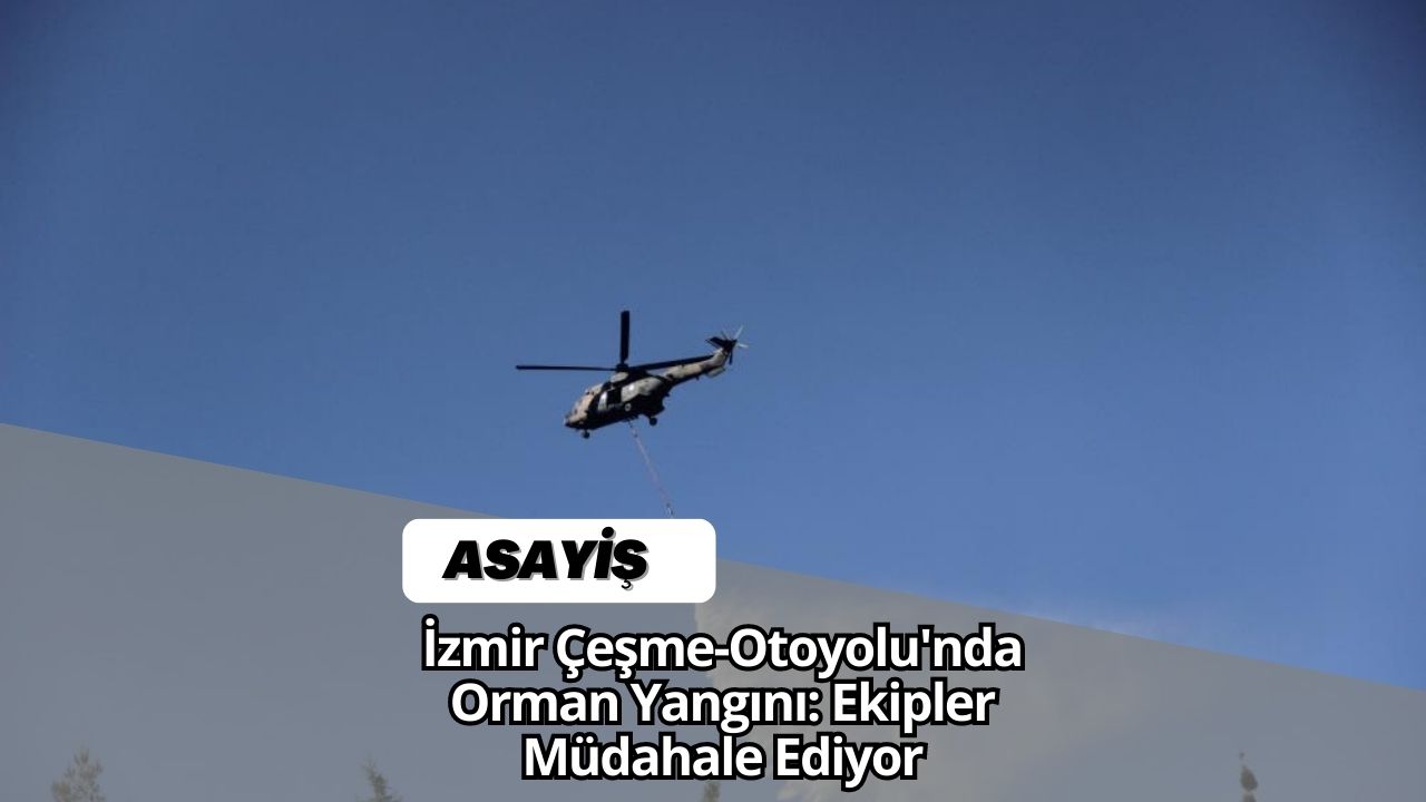 İzmir Çeşme-Otoyolu'nda Orman Yangını: Ekipler Müdahale Ediyor