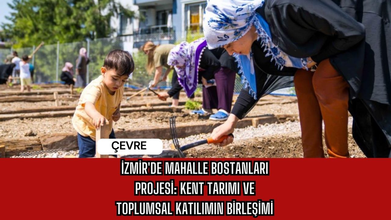 İzmir'de Mahalle Bostanları Projesi: Kent Tarımı ve Toplumsal Katılımın Birleşimi