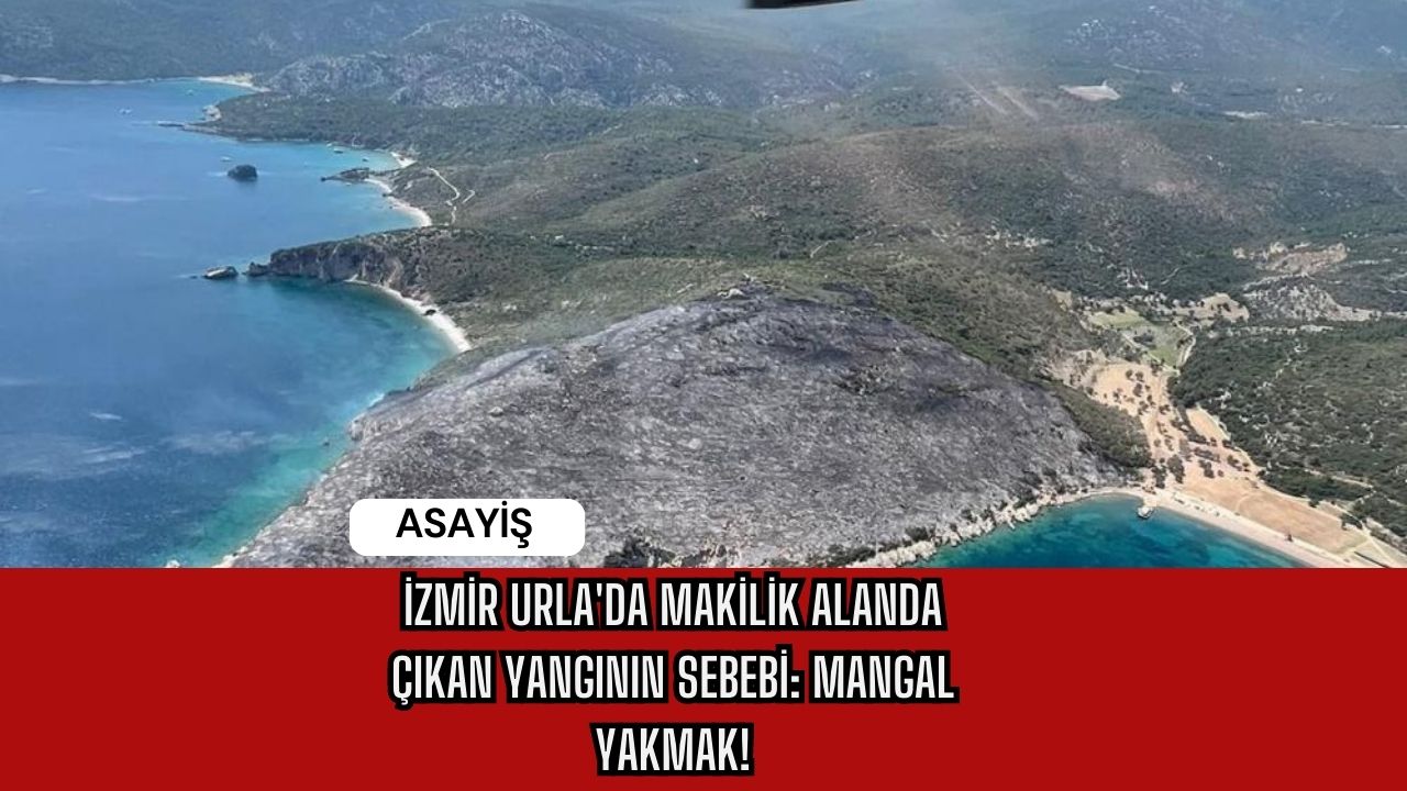 İzmir Urla'da Makilik Alanda Çıkan Yangının Sebebi: Mangal Yakmak!