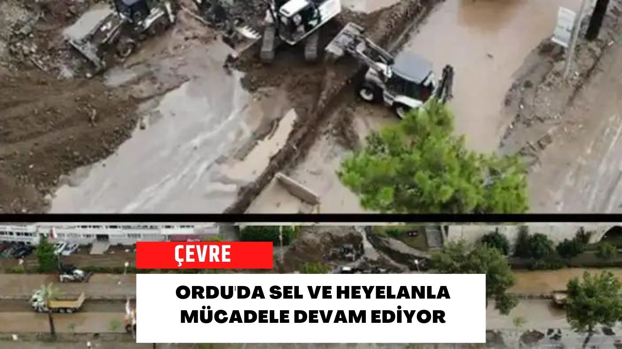 Ordu'da Sel ve Heyelanla Mücadele Devam Ediyor