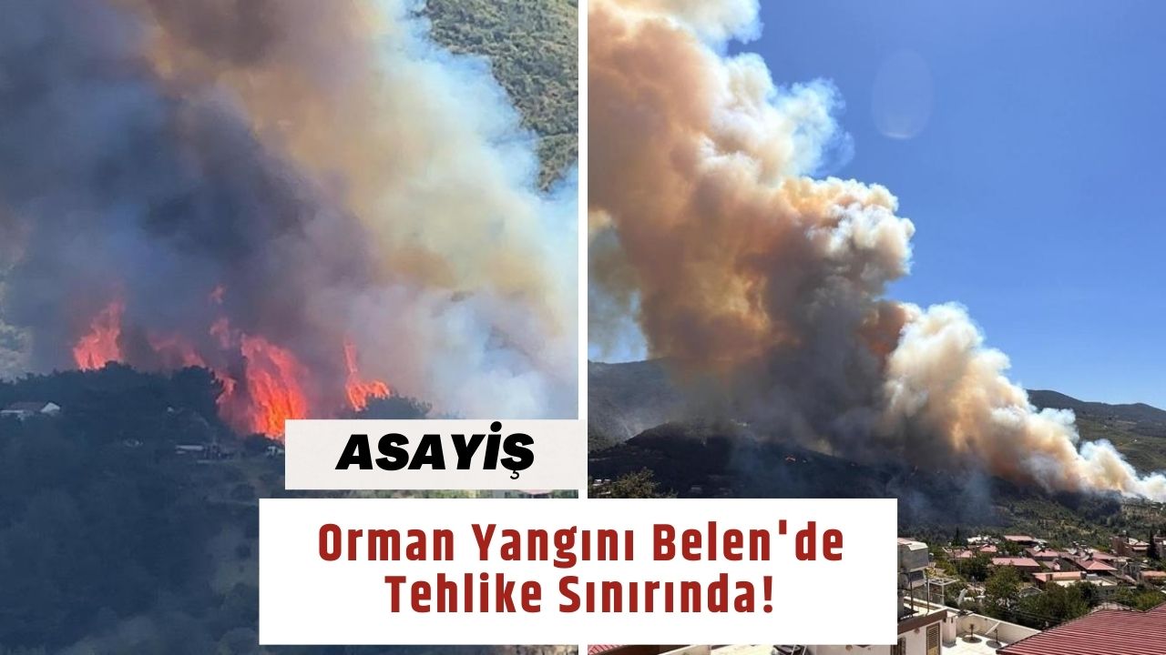 Orman Yangını Belen'de Tehlike Sınırında!