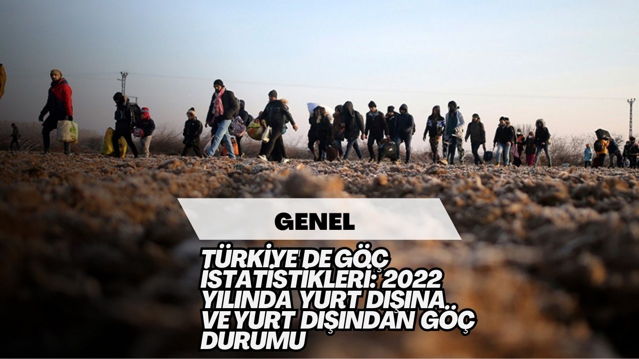 Türkiye'de Göç İstatistikleri: 2022 Yılında Yurt Dışına ve Yurt Dışından Göç Durumu