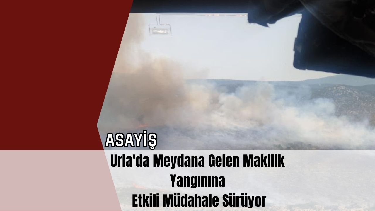 Urla'da Meydana Gelen Makilik Yangınına Etkili Müdahale Sürüyor